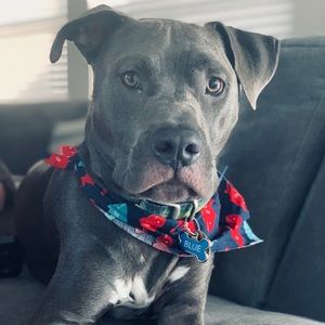 Meet your Posher, Coraly